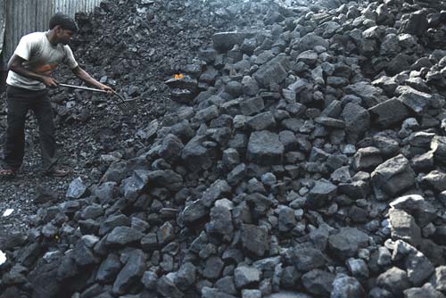 ROM Coal, Shape : Lumps, Packaging Type : Black, Moisture : 10%