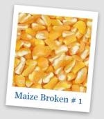 Organic Broken Maize For Animal Food