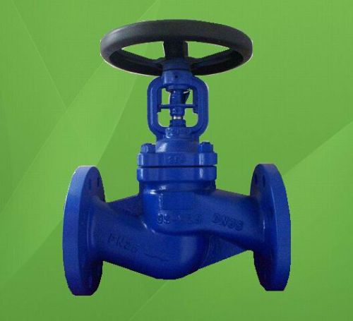 Globe Valve, Finishing : Polished