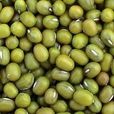 Natural Green Mung Beans, Size : 5 Mm, Packaging Type : PP Bag