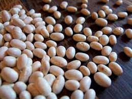 Haricot Beans