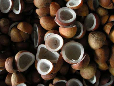 Coconut copra, Packaging Type : Brown