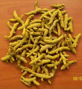 SPICEMAN Turmeric Finger, Color : Yellow