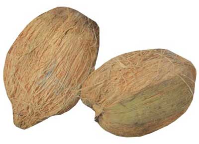Dry Coconut