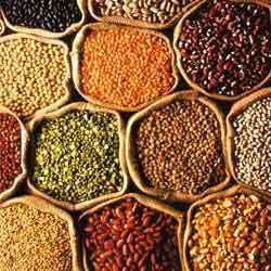 Indian pulses, Drying Process : Sun Dried
