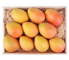 Fresh Mango,fresh Mango