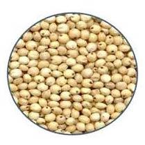 Jowar Seeds