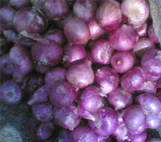 Fresh Red Onion