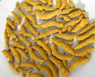Turmeric, Variety/Quality : A Grade