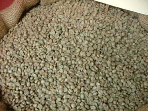 Robusta Green Coffee Bean