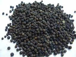 Black Pepper Seeds, Certification : Spices Board Of India