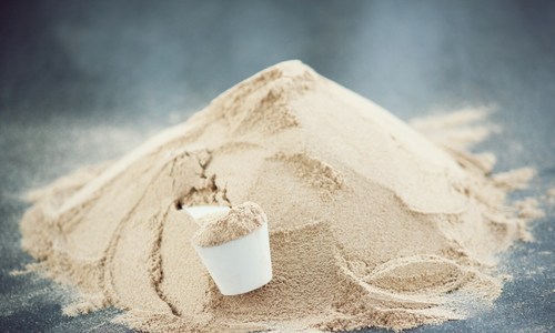 Psyllium Industrial Kha-kha Powder