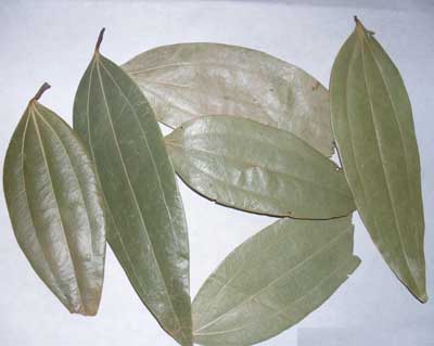 Dry Bay Leaves