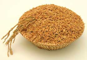 Rice Bran