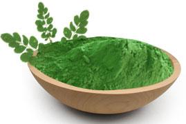 Moringa Dried Leaf Powder