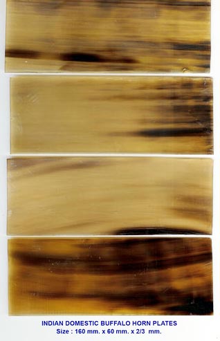 Buffalo Horn Plates, Packaging Type : Export Packing