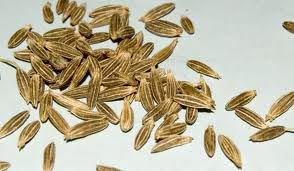 Cumin Seeds