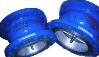 Dual Plate Check Valve