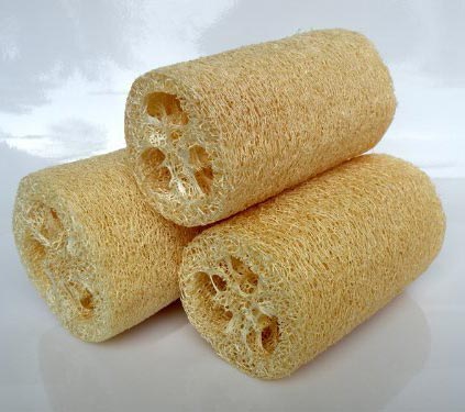 Loofah Body Scrubber, Feature : Non-Toxic, Skin Friendly