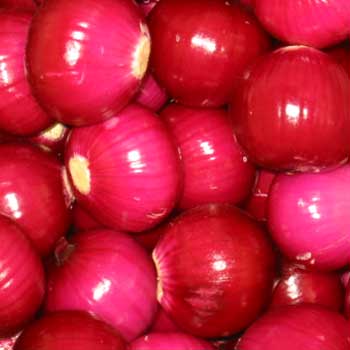 Fresh Red Onions