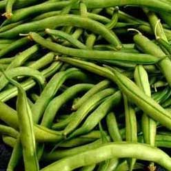 Green Beans