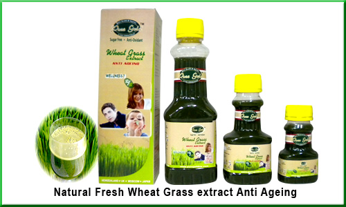 Wheat Grass