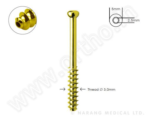 Cannulated Screws