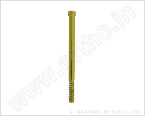 Locking Screws - Hip Screws, 6.35mm For Recon Locking