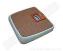 Weight Scales