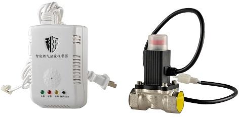 Home Gas Detector With Shutoff Valve, Packaging Type : White