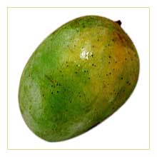 Langra Mango