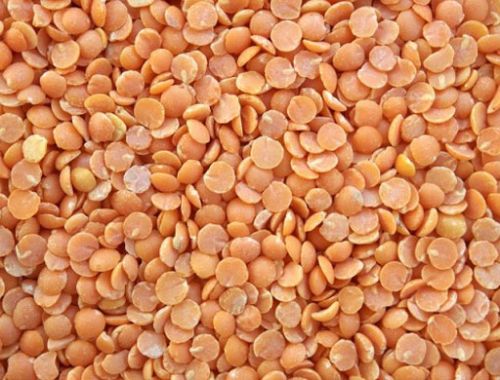 Organic Masur Lentil