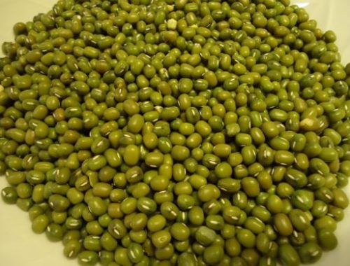 Organic Moong (Greengram)