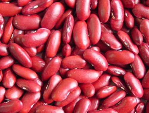 Organic Red Rajma