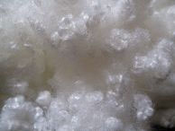 PP Non Woven Fabric