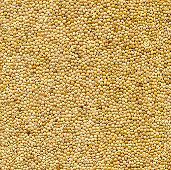 Millet Seeds