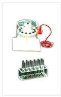 Gel Electrophoresis