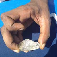 Polished Rough Diamonds, For Jewellery Use, Color : White