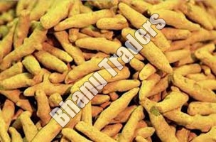 Turmeric finger, Cultivation Type : Organic