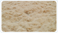 White Coir Fiber