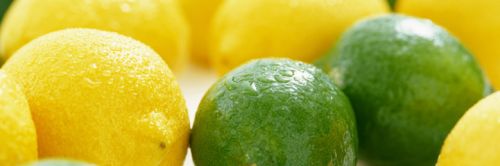 Lemon, Cultivation : Organic