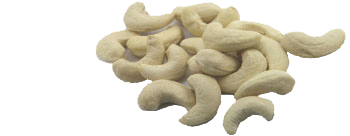 Cashew