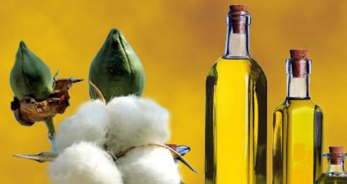 Cottonseed Oil