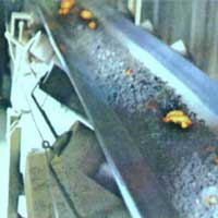 PREMIER Rubber Fire Resistant Conveyor Belts, Length : 100-200 Mtrs.