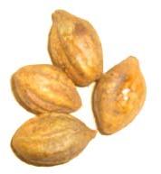 Dry Triphala