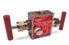 Manifold Valves