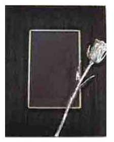 Silver Rose Photo Frame