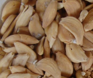 Dehydrated Garlic Cloves