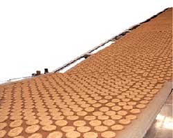 Biscuit Cooling Conveyor