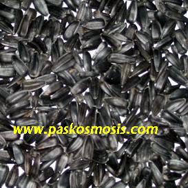 Black sunflower seeds, Packaging Type : gray strip